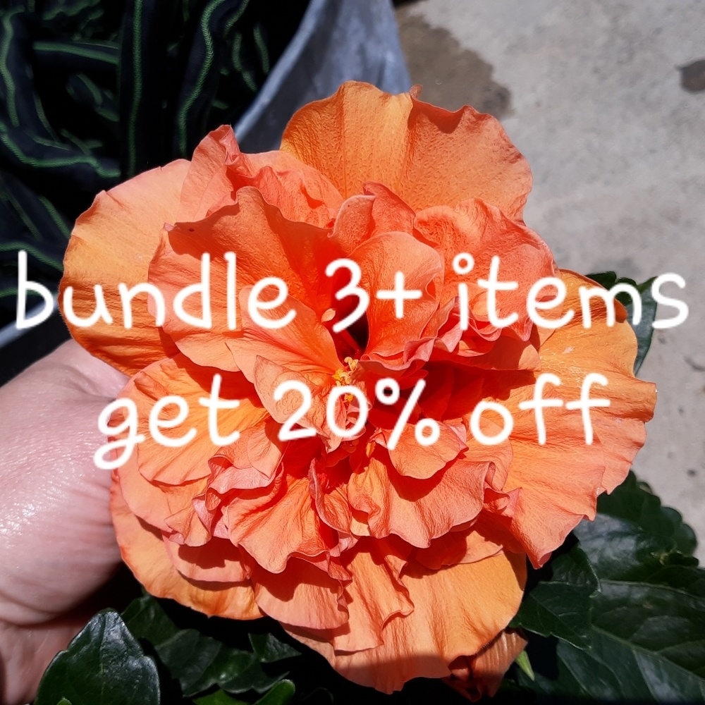 20% off bundles of 3 or more